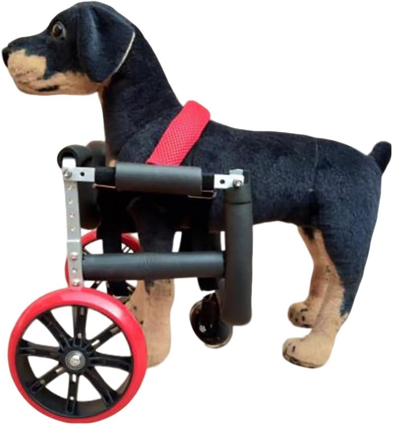 Pet Front Leg Wheelchair | Adjustable Mobility Aid with Foam Tubing & Silent Wheels | Breathable Harness for Dogs & Cats(S)