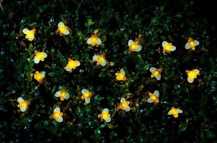 MDL- 30 Insect LED Solar Power Fairy String Light Garden Party Decor Bee New