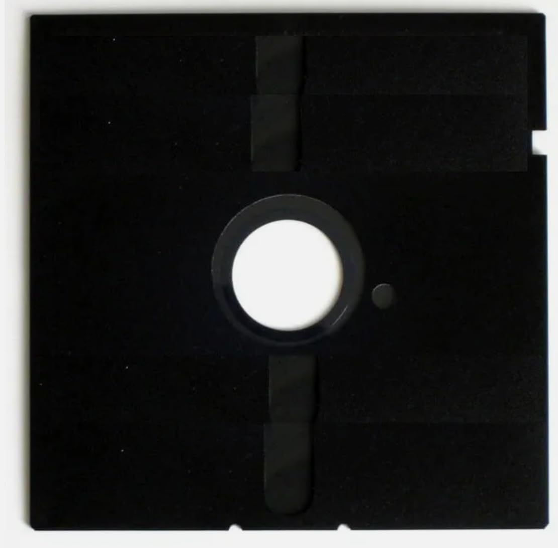 5.25 Floppy Disks 10 Pack. NOT FORMATTED. DS/DD Double Sided Double Density
