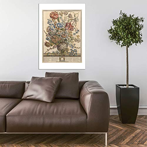 Lámina botánica Doce meses de flores de Robert Furber, impresión artística decorativa 5