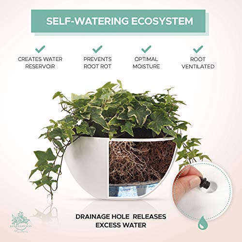 2X Self Watering Hanging Planters For Indoor Plants (10" Inch Set) | Hanging Plant Pot | Hanging Planters For Indoor Plants And Outdoor | Hanging Flower Pot With Modern Rope By Serenehuman (White) #TOP3