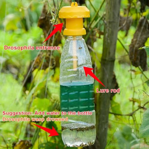 Coletor de moscas ao ar livre, armadilhas para moscas reutilizáveis ​​ao ar livre, Tampa da armadilh