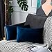 UPOPO Cojines Sofa Terciopelo Funda Decorativos Cojin Salon Cama para Super Suave Fundas Dormitorio Habitacion 2 Piezas de Color Sólido De Cojín Suave De Estar con Cremalleras 30 X 50 cm Azul Marino