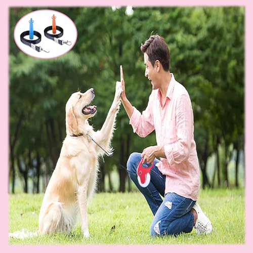LIURFLNC 2 Stück Hundepfeife Rückruf, Laut und Weitreichend Hundepfeife, Hundepfeife Hochfrequenz Lautlos, Ideal für Hundetraining Hundepfeifen mit Schwarzem Schlüsselband(Blau/Orange)