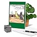 NobleWorks - 1 Humor Birthday Card with Envelope - Funny Cartoons for Birthday Greetings, Celebration Notecard - Hole Foods C2684BDG
