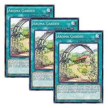 �y 3���Z�b�g �z�V�Y�� �p��� CORE-EN062 Aroma Garden �A���}�K�[�f�� (�m�[�}��) 1st Edition