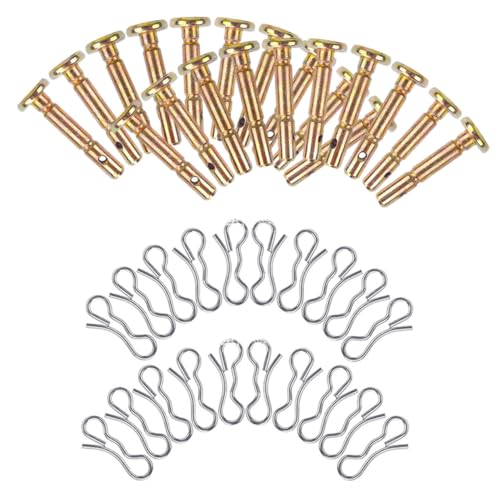 BESTonZON XeX?ƊJ?  @fs ϖՐ ϋvɗDꂽXm[u[pp[c ȒP yʃRpNg