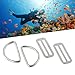 Scuba Diving D Ring Buckle Stainless Steel Belt Keeper for 2 Inch Webbing Heavy Duty Marine Grade Hardware Diving Harness Accessories Underwater Equipment(2pair)