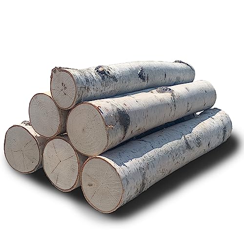 Wilson Decorative White Birch Logs, Natural Bark Wood Home Décor - 17-18" In Length 1.5"-4" Dia. (Set Of 6) #TOP1