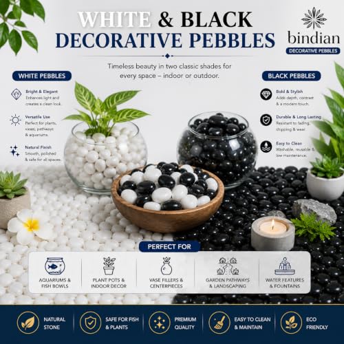 Image of Bindian Decorative Pebble Stone, Multicolour, Natural Stone, Smooth & Polished, for Aquarium, Garden, Plant Pot, Fountain Decor (5 Kg, Black)