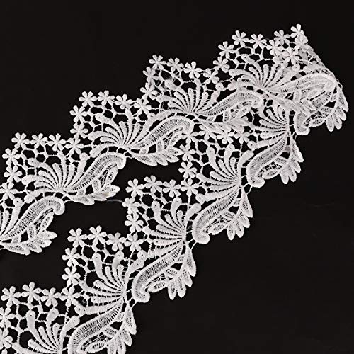 9,14 metri di Nastro in pizzo, stile vintage