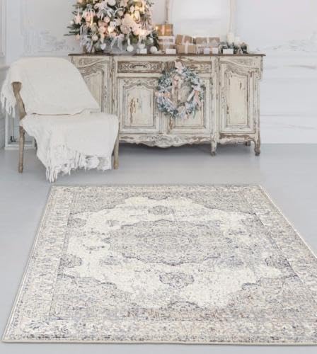 4678 Distressed Ivory 8 x 10 Area Rug Carpet Large New