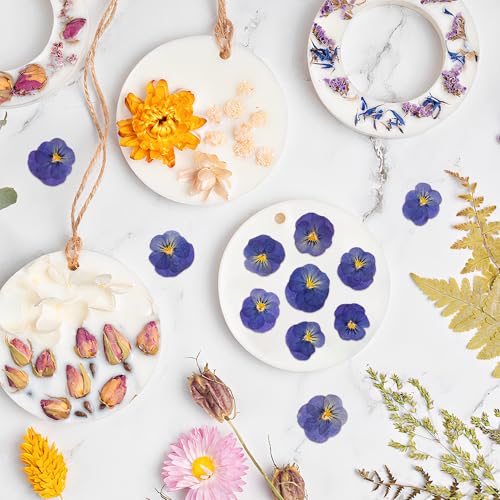 50 flores secas violetas prensadas para moldes de resina y manualidades miniatura 5