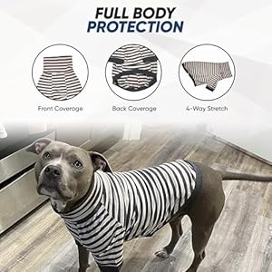 Tooth & Honey Big Dog Stripe Shirt Pullover Full Belly Coverage (Extra Large) Tooth Honey Big Dog Stripe Shirt Pullover Full Belly Coverage Extra Large
