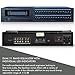 Dual 21 Band Professional Stereo Equalizer with Individual LED indicators