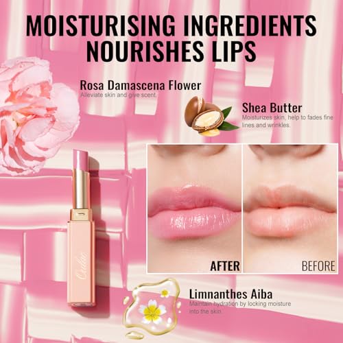 5. Bild von Oulac 2 in1 Lippenstift und Lip Balm, Saftiger und Glänzender lippenpflege Lippenstift,Geschmeidige und Hydratisierte Lippen, Glänzendes Finish für trockene, rissige, spröde Lippen, Vegan 07