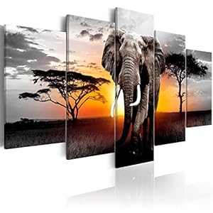 murando Schilderij op vlies canvas Afrika 200×100 cm XXL Print Wandschilderij 5 delen Foto Grafiek Fotografie Wanddecor – Landschap Dieren Olifant g-C-0054-b-o