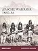 Apache Warrior 186086