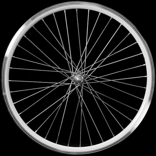 AkiiGer Adults Bicycle Wheels Rim for 3 Wheels Bike, Tricycle Front Wheels 24", Not Suitable for Bicycles, Tire Rims Replacement, Double Wall Alloy Rim, 36x13G Silver Spoke, Aluminum Alloy