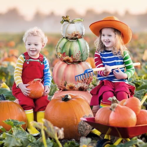 Fall Thanksgiving Party Supplies Autumn Harvest Themes Pumpkin Balloons Set for Thanksgiving Party Decorations
