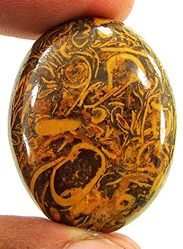 Ch 14.00Jbg VR} [X   - B0C61T5GMB