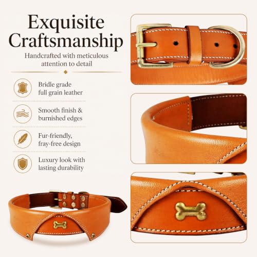 Image of Genuine Leather Tuxedo Shirt Dog Collar, Large, Tan, Cushioned Padding | Brass Buckle, Large, D Ring, Heavy Duty, Padded, Fit Neck Size 18.5 inch-22.5 inch