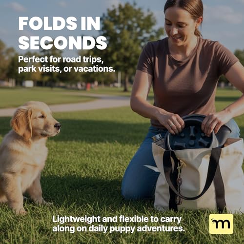 MalsiPree 2-in-1 Puppy Slow Feeder & Water Bowl Set - Essential Dog Gift for Small & Medium Pups - Silicone Feeding Mat & Stainless Steel Bowls, Travel-Ready Training Station for Fast Eaters - Gray - Image 5