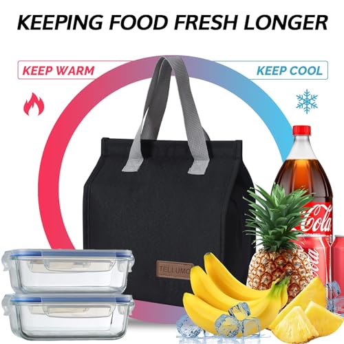 TELLUMO Large Insulated Lunch Bag - Reusable, Leakproof Tote for Men and Women (Dark)