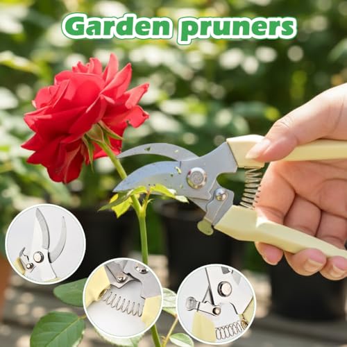 Herramienta de 3 piezas para quitar espinas de rosas miniatura 7