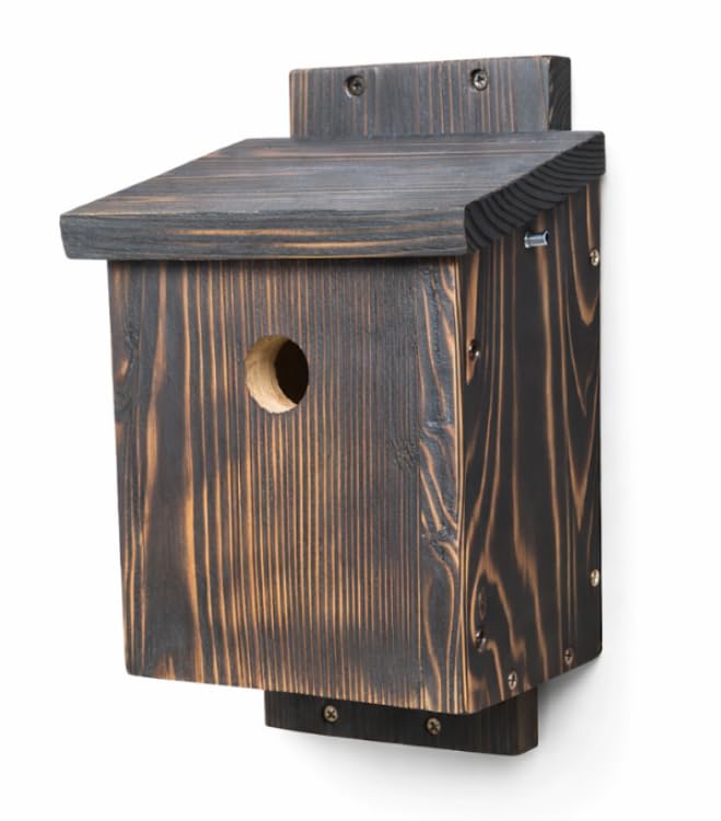 JM Bower Wooden Bird Nest Box – Grown in Britain Certified Western Red Cedar Bird Box for Garden, British Made Outdoor Nesting Box for Wild Birds, Natural Timber Nest Box (Charred Finish)