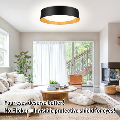 Image of Flush Mount Ceiling Light, 16in Modern Ceiling Light 5 Color Temperature