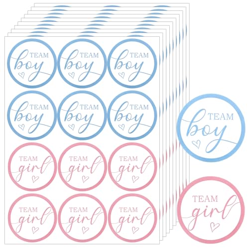 Dplolng 120 Pcs Team Boy or Girl Stickers 2 Inch Gender Reveal Stickers Boy or Girl Gender Reveal Pink and Blue Sticker for Gender-Reveal Party Decoration