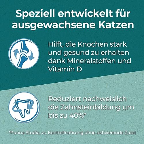PURINA ONE DualNature mit Spirulina für ausgewachsene Katzen reich an Huhn Katzentrockenfutter 650g Beutel