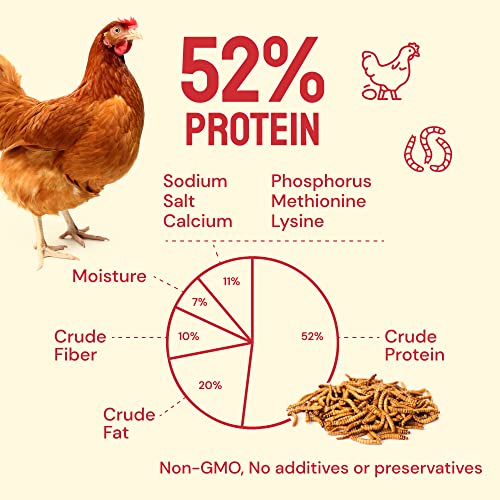 Hatortempt Dried Mealworms 5 lbs - Organic Non GMO Dried Meal Worms for Chickens - High Protein Chicken Feed - Dried Meal Worms for Wild Birds & Chicken Treats for Laying Hens - Mealworms for Birds - Image 6