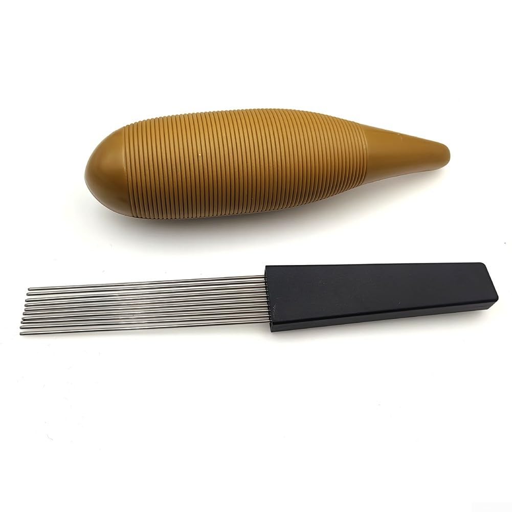 Latin Percussion Guiro mit solidem Pinsel, einzigartige Form und Design für verbessertes Musikerlebnis (A)