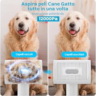 Morpilot Tosatrice per cani con aspirapolvere, super aspirazione con 12000 Pa aspira il 99,99% dei peli di animali domestici