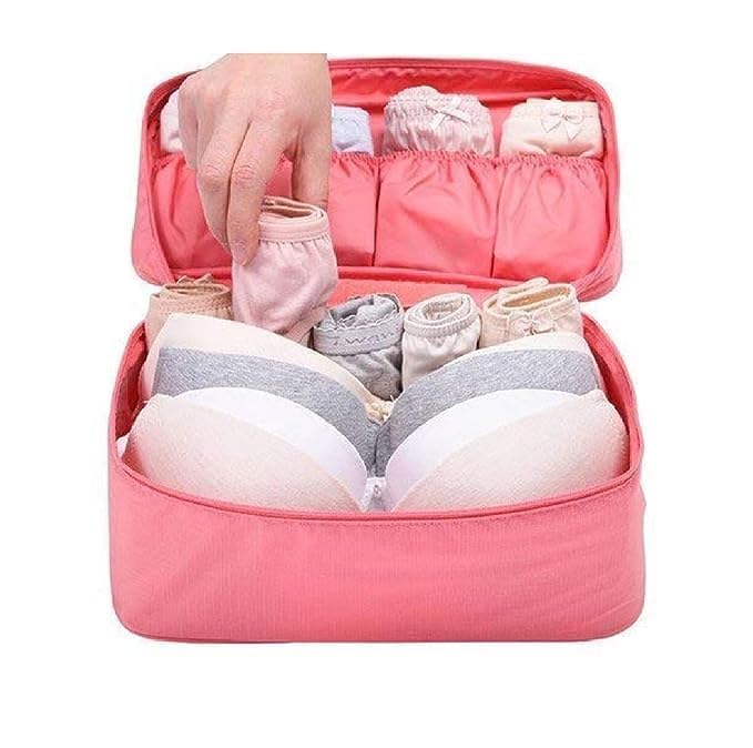 Pink Nylon & Polyester Travel Organizer Bag with Zipper Closure for Women's Underwear, Bra, Socks, Panties Storage Pouch