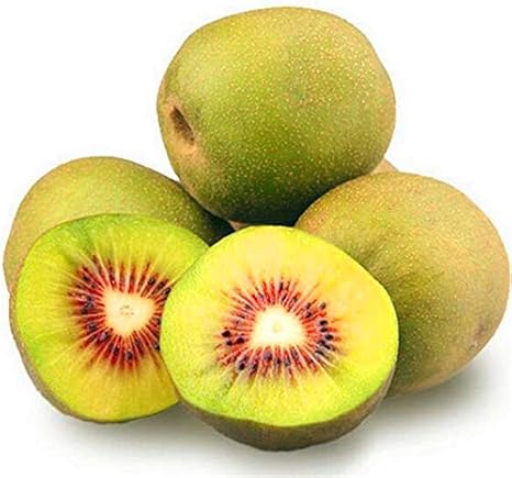 Amazon Co Jp 0pcsのキウイフルーツ盆栽タイミニキウイフルーツの花 盆栽の木の植物 自宅の庭の植物のためのおいしい果物や野菜 3 Diy 工具 ガーデン