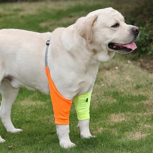 Image of HDKUW Dog Elbow Protector for Calluses, Recovery Suit for Front Legs, Cone Collar Alternative to Stop Licking Wounds, Cover Sleeve for Small Medium Large Dogs - Orange L