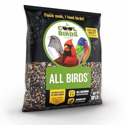 Cool Birds All Birds Wild Bird Seed – 10 lb. Classic Blend with Black Oil Sunflower, White Millet, Safflower, Peanuts & Sunflower Hearts – Balanced Bird Food for Outside Feeders - Image 2