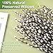 Oning 40 Stems Real Dried Pussywillow Preserved Greenery Branches for Vase-16'' Natural Pussywillows with White Flowers, Snow Willow Branches for Easter Wedding Home Party Hotel Fireplace Yard Decor