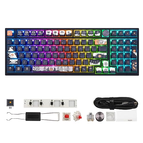 Image of MOLGRIA SKYLOONG GK980 98-Key RGB Backlit Gaming Keyboard with Side Transparent Pudding Keycaps, Hot Swappable Red Mechinery Switches, Type C Wired Knob Mechanical Keyboard for Win /Mac OS