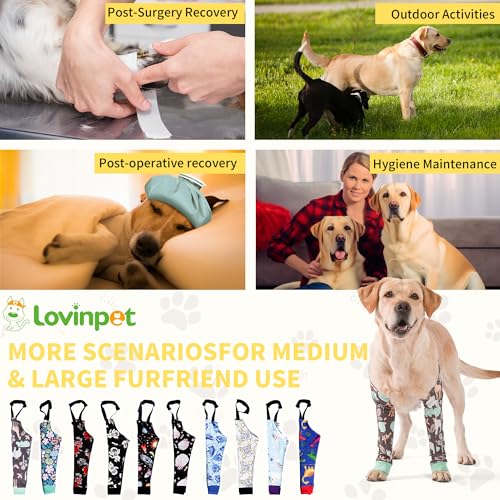 Image of LovinPet Dog Elbow Protector Anti-Licking Elbow Sleeve, Adjustable, Comfortable & Durable Front Leg Guard for Medium to Large Dogs, Prevents Licking and Chewing,Dog Sleeve,Dog Leg Sleeve,Grey