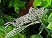 Alilang Synthetic Peridot Green Rhinestone Crystal Insect Grasshopper Locust Leaf Big Pin Brooch
