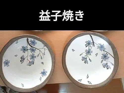益子焼 皿」の人気商品一覧 | 安い商品を通販サイトから探す - 価格.com