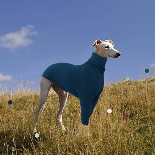 IECOii Windhundpullover,gemütlicher Overall für italienische Windhunde,Whippet-Pullover-Schlafanzug für Hunde,Rollkragen-Einteiler für Whippets,Windhund-T-Shirts mit Ärmeln,Blau,XS