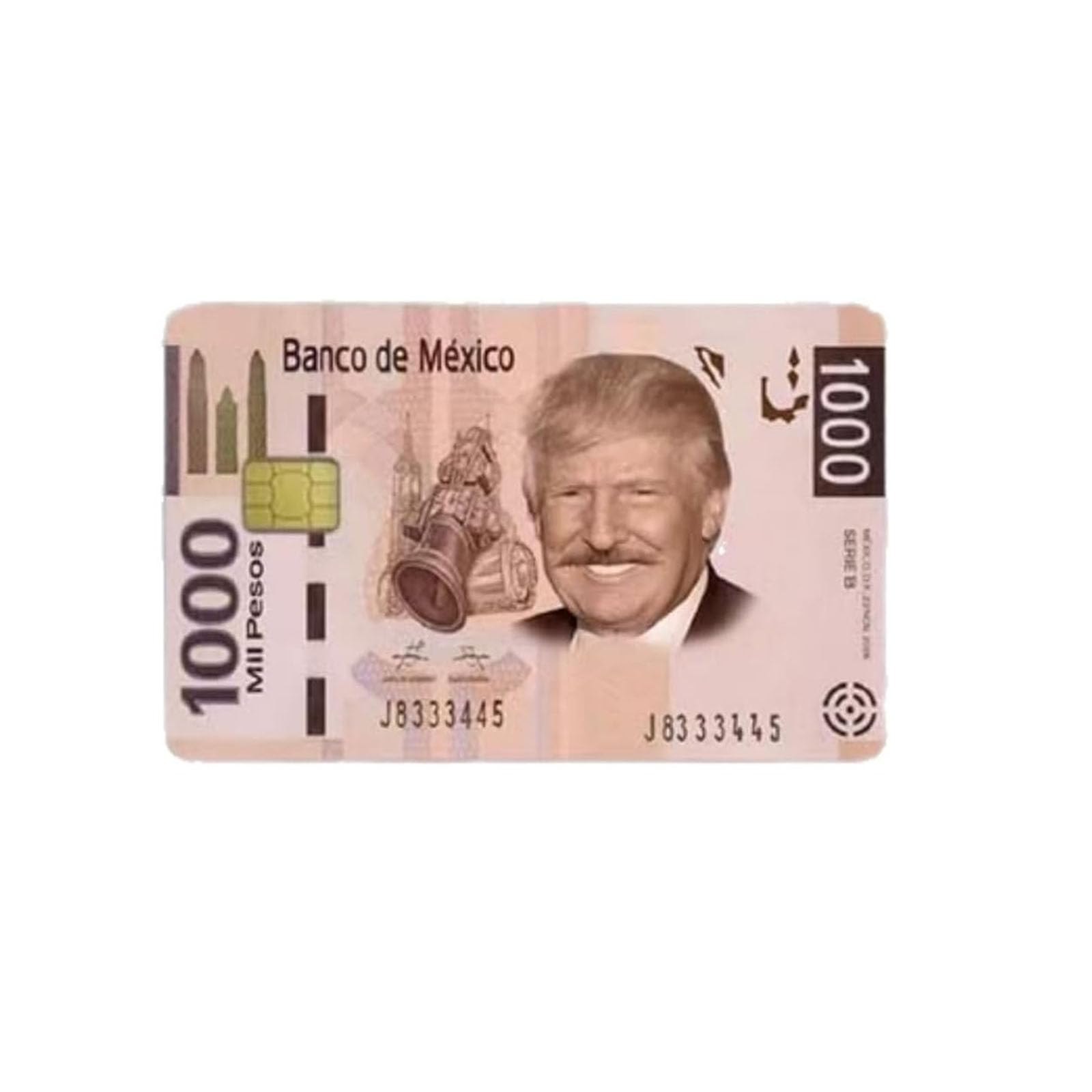 Kitruiy Funny 𝑻𝒓𝒖𝒎𝒑 Debit Credit Card Sticker, Old 𝑻𝒓𝒖𝒎𝒑 Debit Card Sticker Cover, 𝑻𝒓𝒖𝒎𝒑 Food Coupon Debit Card Sticker, Debit Credit Card Skin Cover Funny (1pcs)