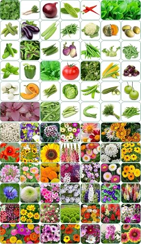 Image of Aero Seeds 80 varieties (40 flower and 40 vegetable) seeds combo pack with instruction manual.