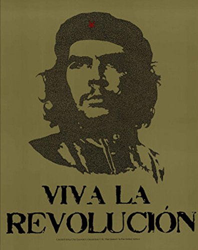 Che Guevara Viva La Revolution UN Speech Text Art Print Poster Poster Poster Print, 24x30