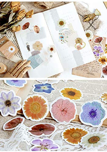 Molshine 274pcs Decorative Stickers- Forest Fruit Plant Flower Series Decals for DIY,Personalize,Bullet Diary Decoration,Laptops,Scrapbook,Luggage,Cars,Books,Sealing -6 Packs